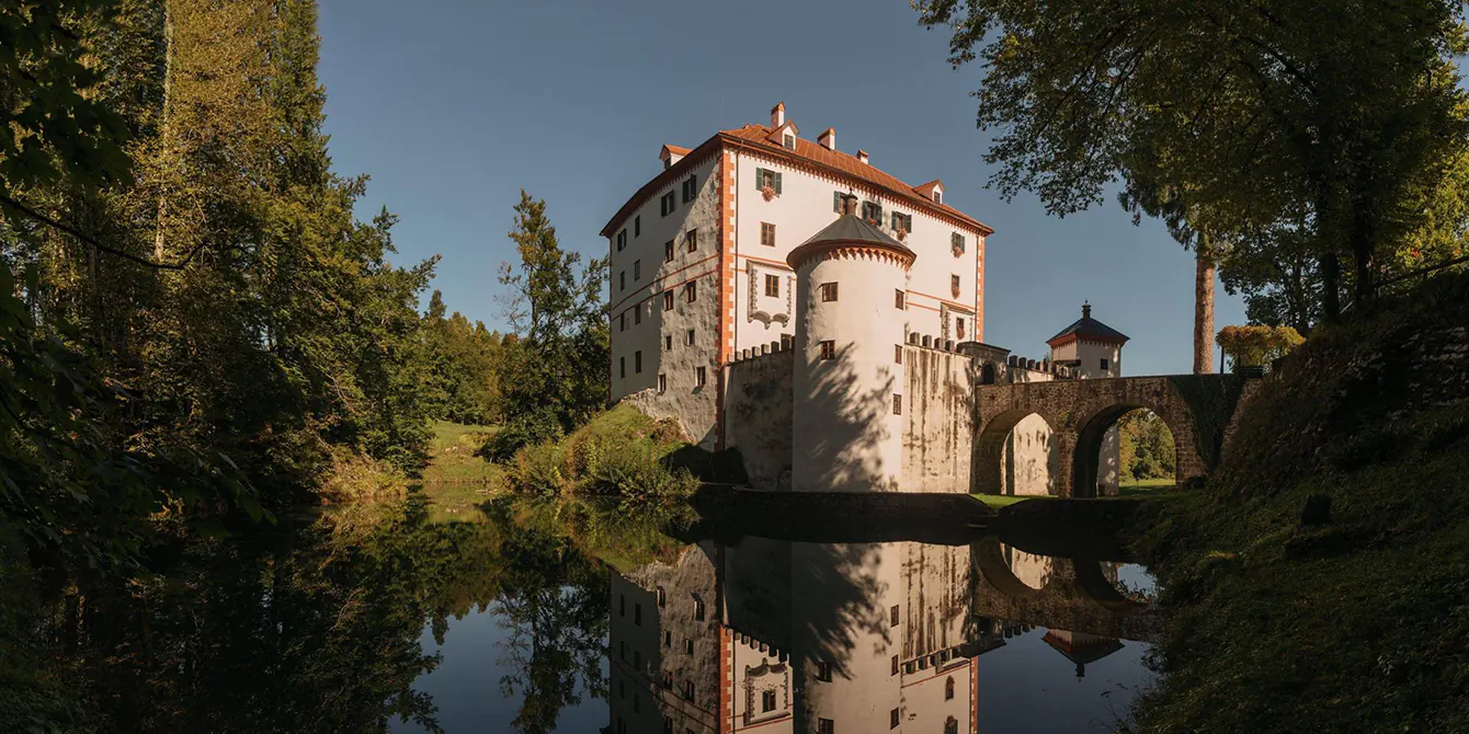 Grad Snežnik 2